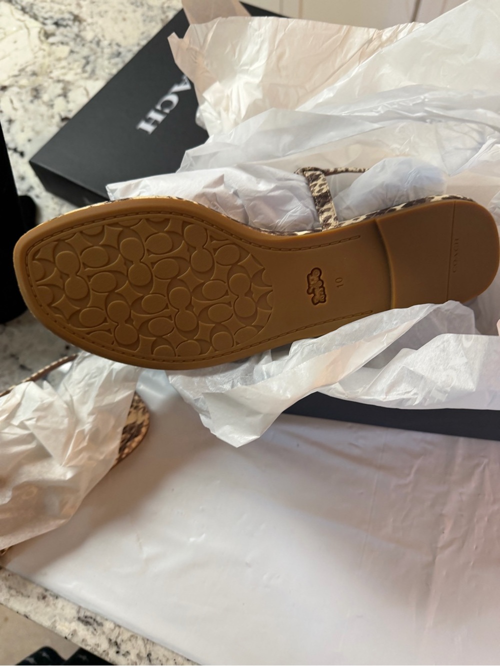 Coach Beige Brown Snake-Print T-Strap Sandal with Silver Logo - Picture 6 of 9